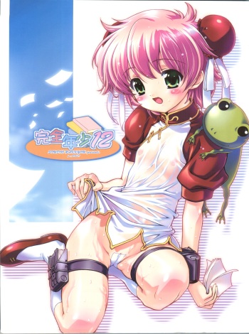 Kanzen Nenshou 12 cover
