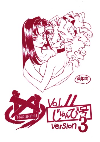 Kyouakuteki Shidou Vol. 11 Junbigou Version 3 cover