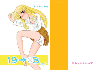 19→o3 VerF cover