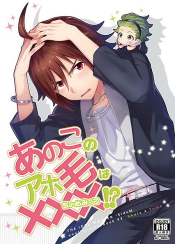 Ano Kono Aho Ke wa ×××!? cover
