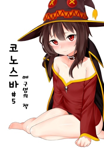 코노스바 #5 메구밍의 책 cover