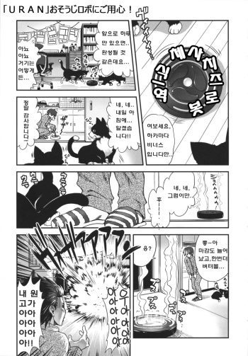 Osouji Robot ni Goyoujin!! cover