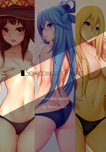 Schrodinger's Panties cover