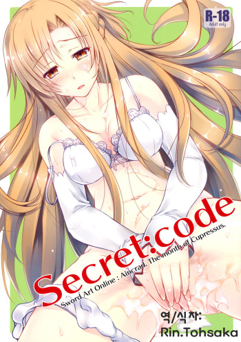 Secret:code cover