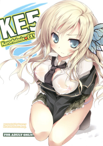 Karorful mix EX5 cover