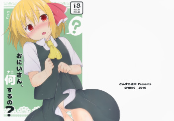 Onii-san, Nani Suru no? cover