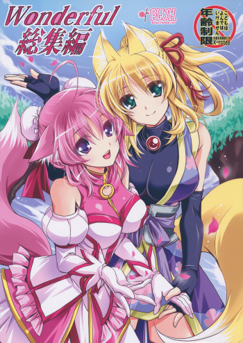 Wonderful Soushuuhen cover