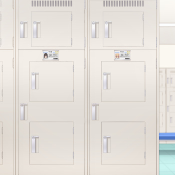 Locker cover