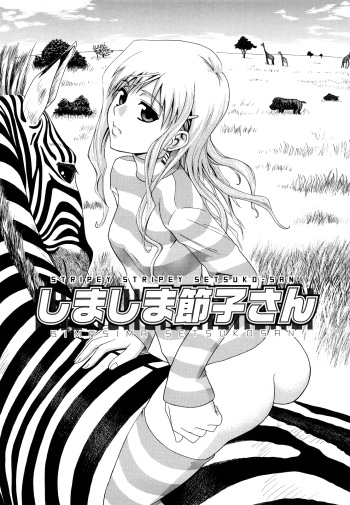 Shima-Shima Setsuko-san | Stripey Stripey Setsuko-san cover