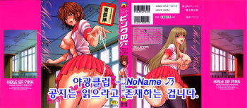 Pink no Ana - Hole of Pink cover