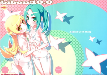 bibon Vol 10.0 cover