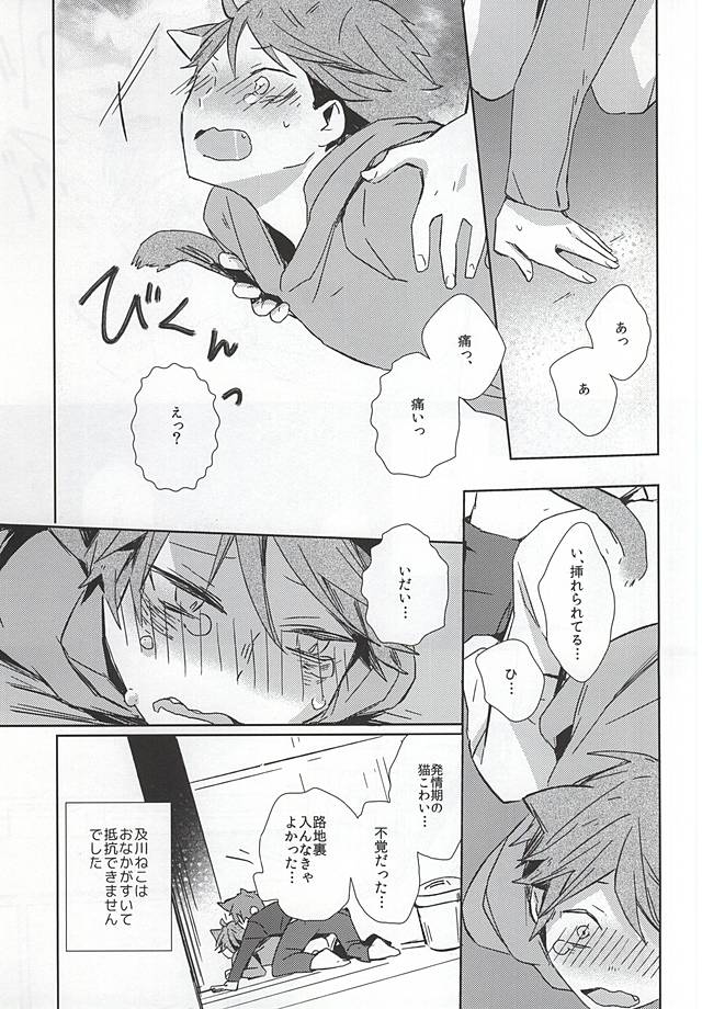 Neko ni Natta Oikawa-san page 10 full