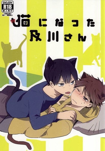 Neko ni Natta Oikawa-san cover