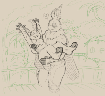 Moth brothers cover