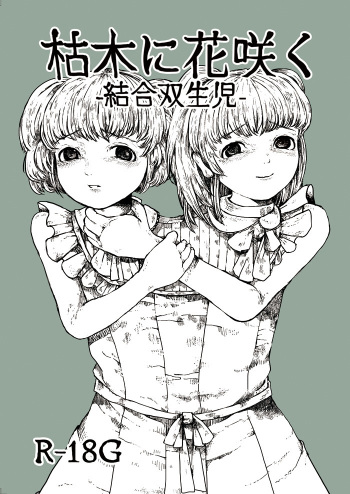 Pixiv Artist - Zero Ponchi cover