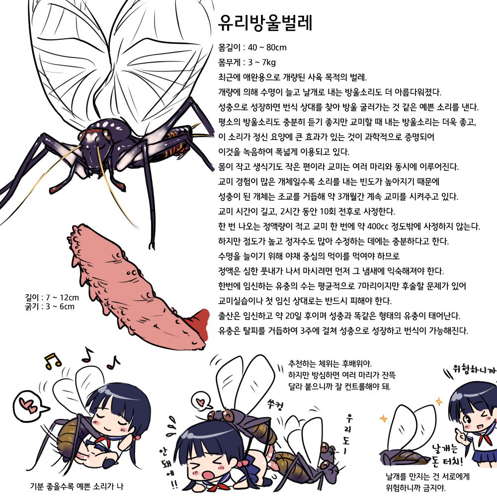 ANOTHER CHAIN page 4 full