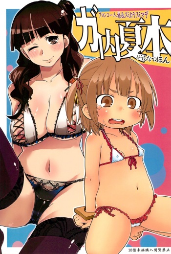 GaUchi Natsu Hon cover