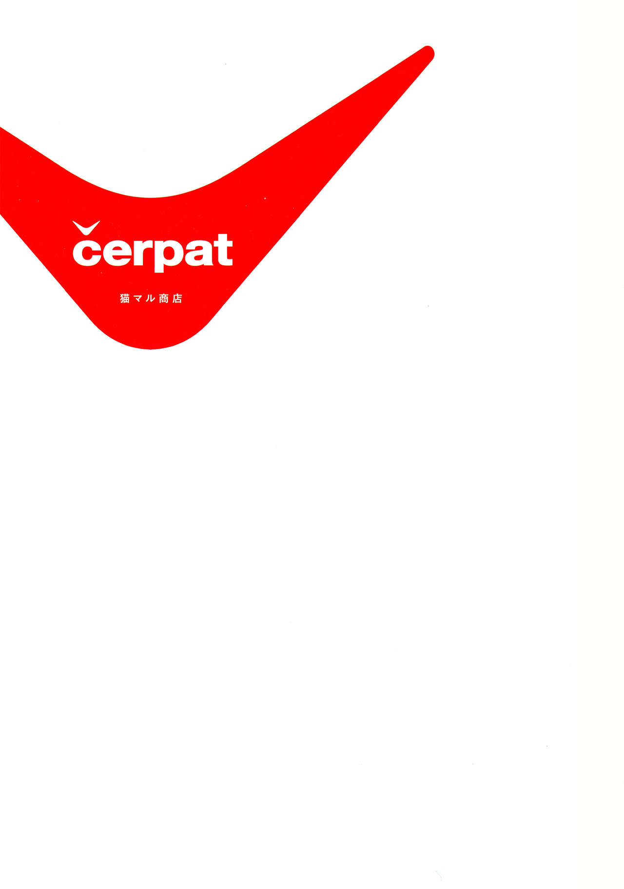 cerpat page 2 full