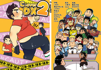 C-overDX2 cover