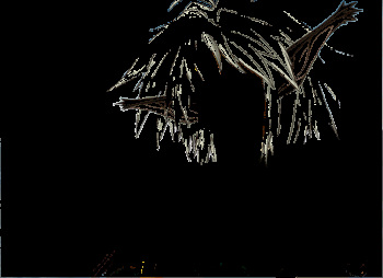 Aisha Clanclan gifs cover