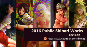 2016 public softcore bondage set cover