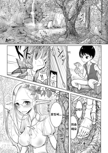 Elf-mura Gikai Koushiki Sakusei Manual cover