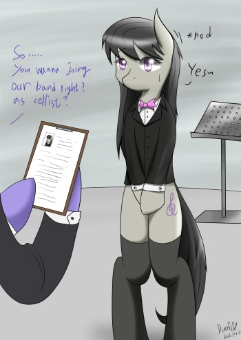 The Test cover