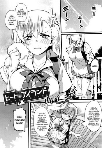 Heat Island cover
