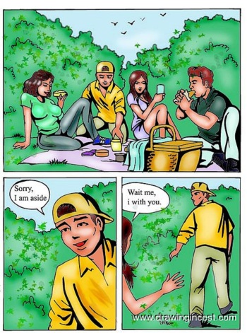 A Wonderful Picnic cover