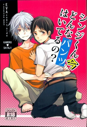 Shinji-kun Ima Donna Pants Haiteru no? cover
