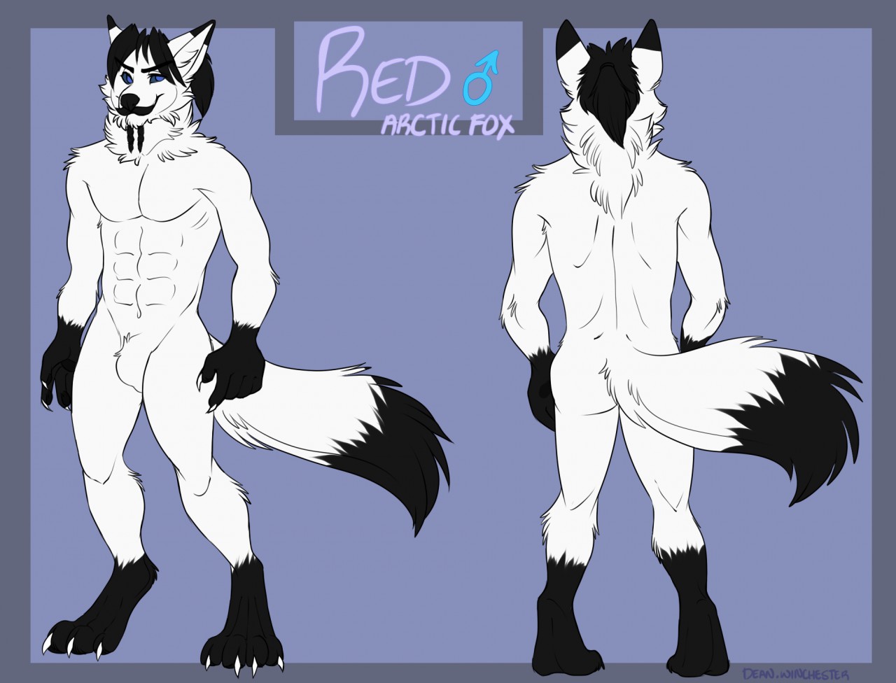 redscotfox page 8 full