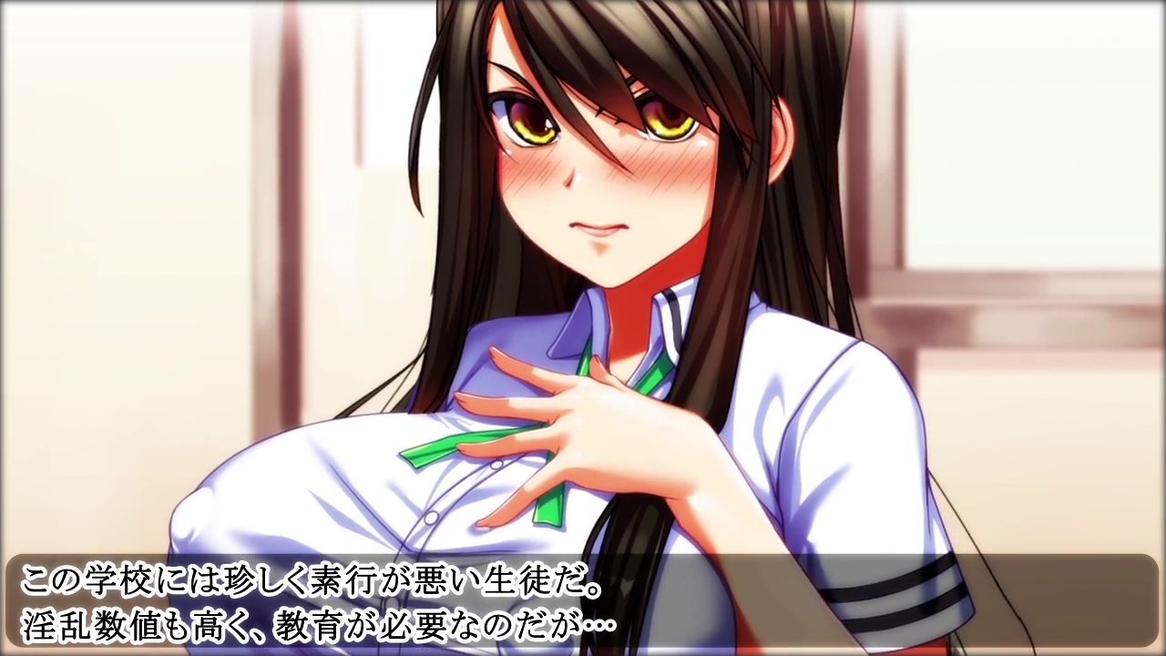 淫乱な体質の女の子たち～淫乱教育官の日常～【如月紗姫編】 page 5 full