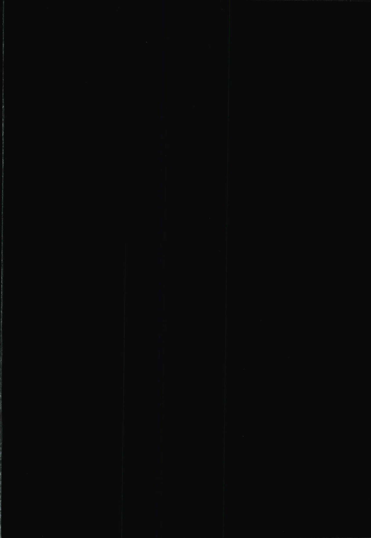 -0.1 page 2 full