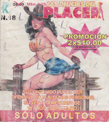 Las Delicias del Placer 0018 cover