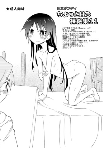 Chotto H na Hadakae-shuu 11 cover