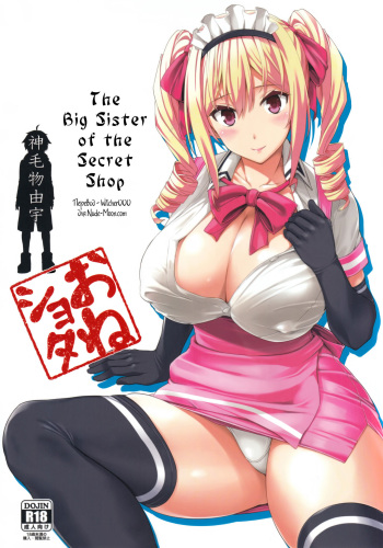 Mayoiga no Onee-san | The Big Sister of the Secret Shop cover