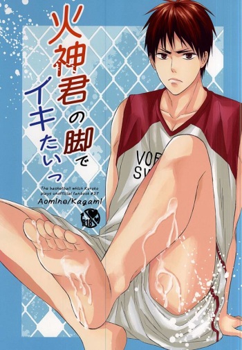 Kagami-kun no Ashi de Ikitai cover