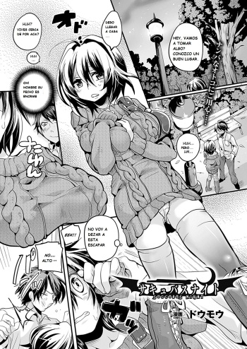 Succubus Night cover