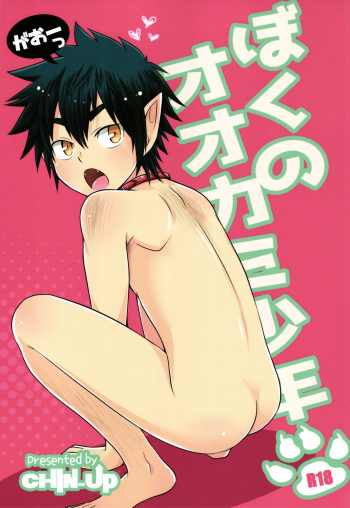 Boku no Ookami Shounen cover