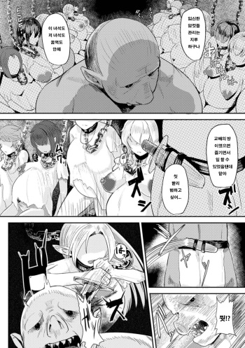 Hitoya no Elf cover