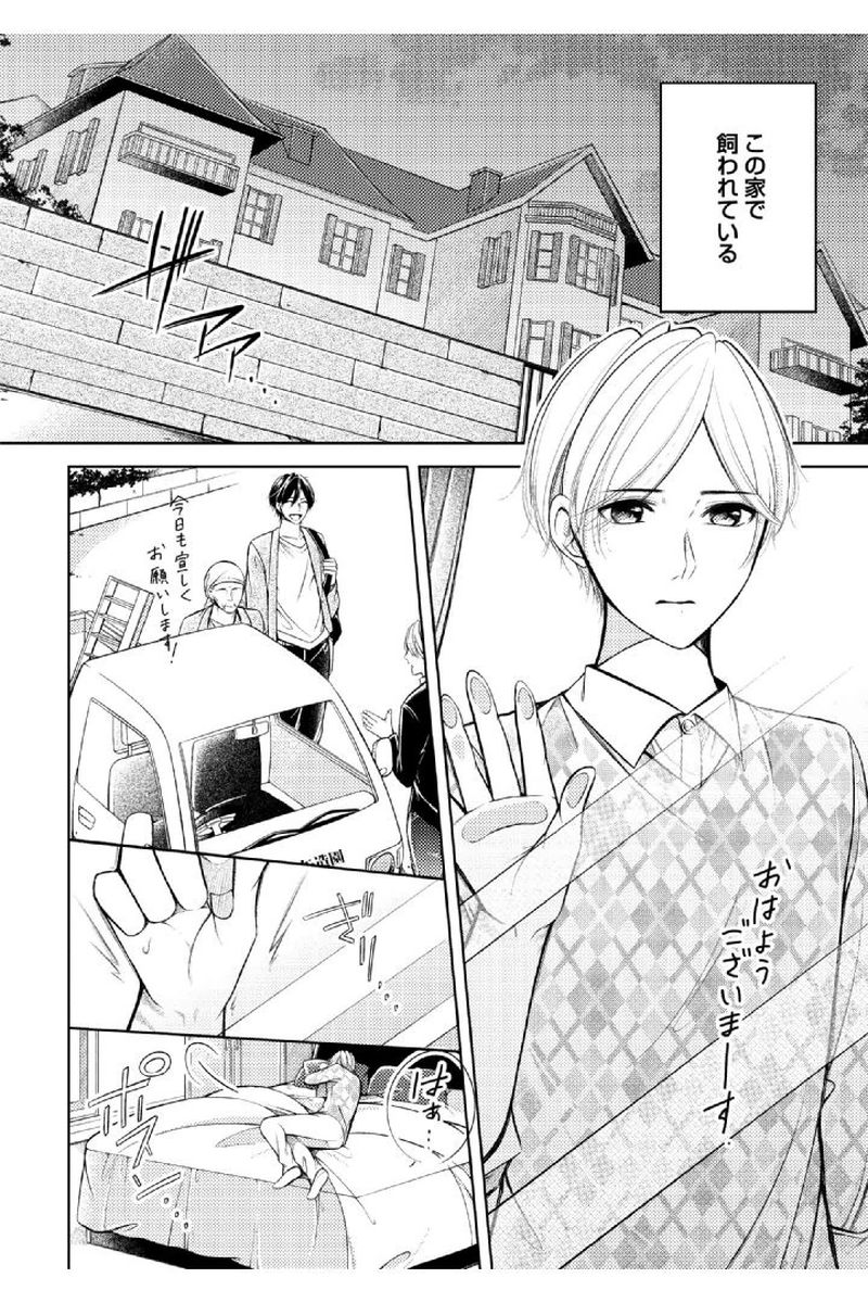 Douteimaku Shounen page 6 full