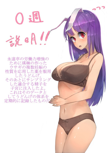 Udonge pregnancy experiment cover