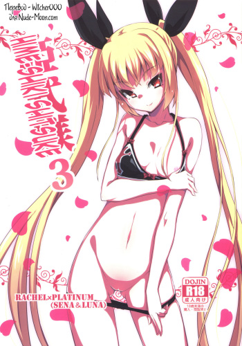 Hime-shiki Shitsuke 3 cover