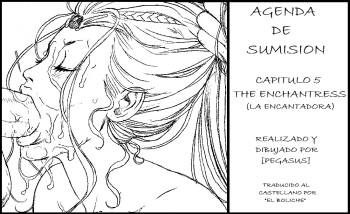 Agenda de Sumision 05 The Enchantress cover
