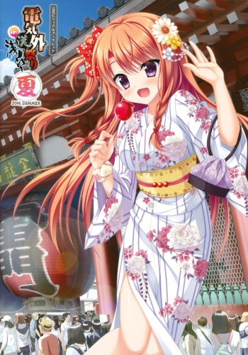 Denkigai Matsuri 2016 Summer in Asakusa cover