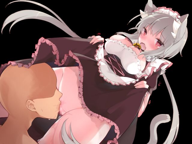 Meshi mase! nekomimi nyan dafuru - kudere maid no nyan nyan funtouki page 4 full