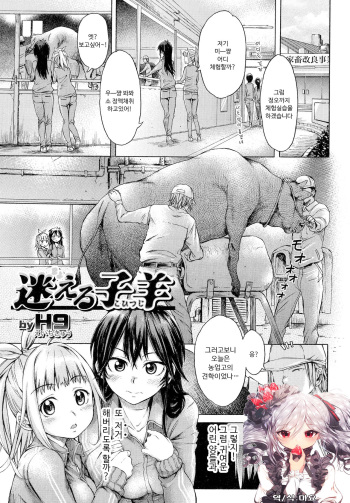 Mayoeru Kohitsuji cover