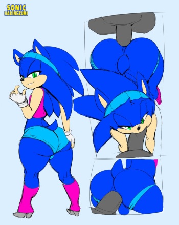 ARTIST Sonicharinezumi cover