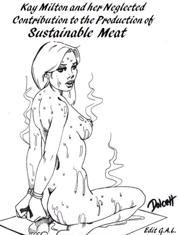 Kays Contribution cover