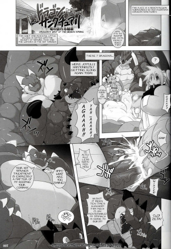 Dragon's visit at the hidden spring cover